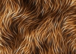 fur